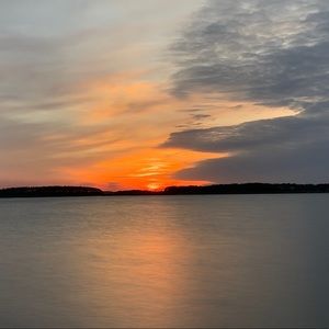 Meet your Posher, Riley